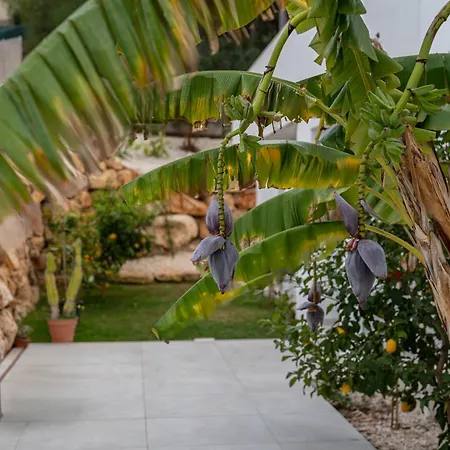 Villa Ibiza Style With Pool By Prime Spanish Holidays *